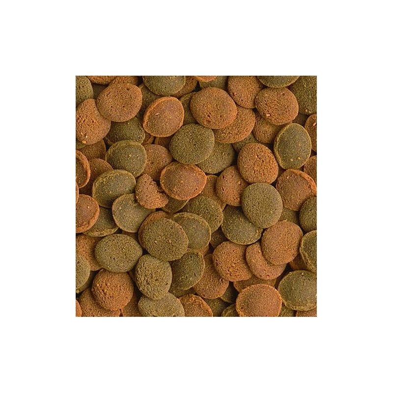 Tetra Wafer Mix - Mix de pastilles pour poissons et crustacés de fond - 100ml/48g – Image 2