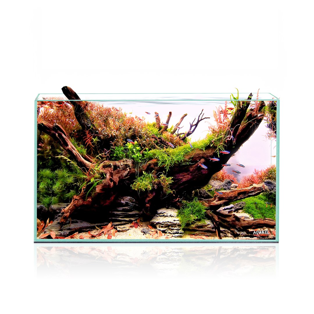 Aquarium Aquael OptiScape 60L - Verre Optiwhite - 60x30x36cm – Image 2