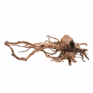 Racines de bois flotté / Spiderwood pour aquarium - sur photo