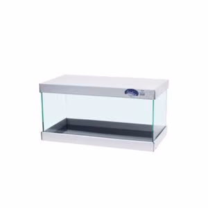 Aquarium rectangulaire Scalare 54L - 60x30x30 cm