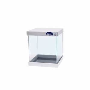 Aquarium cube bords incurvés 90L - Scalare Ultra Clear - 45x45x45cm