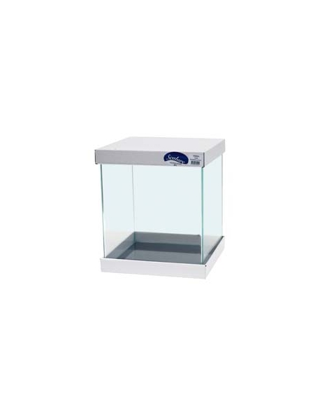 Aquarium cube bords incurvés 90L - Scalare Ultra Clear - 45x45x45cm