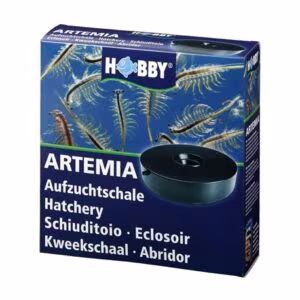 Éclosoir pour artémias - Hobby