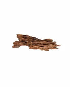 Racine Shrimp Wood - 15 à 25 cm - Scalare