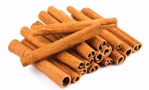 Bâton de Cannelle Naturel - Cachette naturelle pour crevettes - 1 pièce