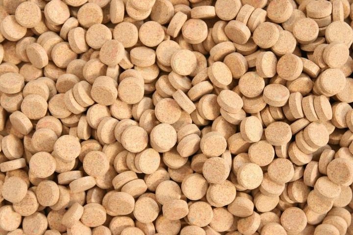 Glopex Allium Tablets (50 g) – Aliment Complet à l'Ail pour Poissons Omnivores