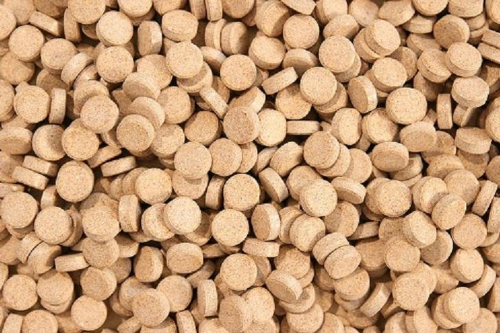Glopex FD Tablets (50 g) – Aliment Complet Adhésif pour Poissons Omnivores