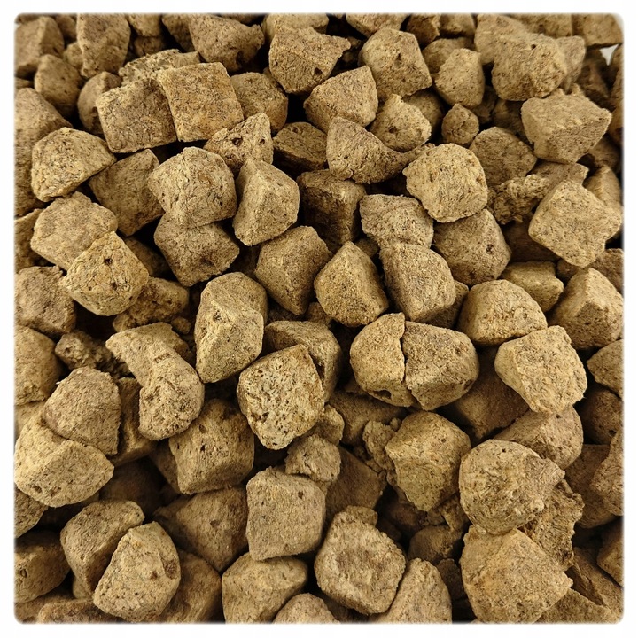 Artemia Salina lyophilisée – 15 g (en cubes)