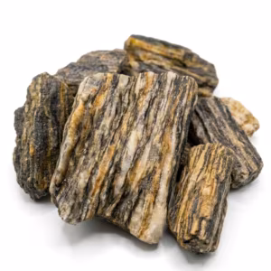 Woodstone / Bois fossilisé - Exclusivité Quariumshop.fr