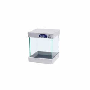 Aquarium cube 18L Scalare - 25x25x30cm + tapis inclus