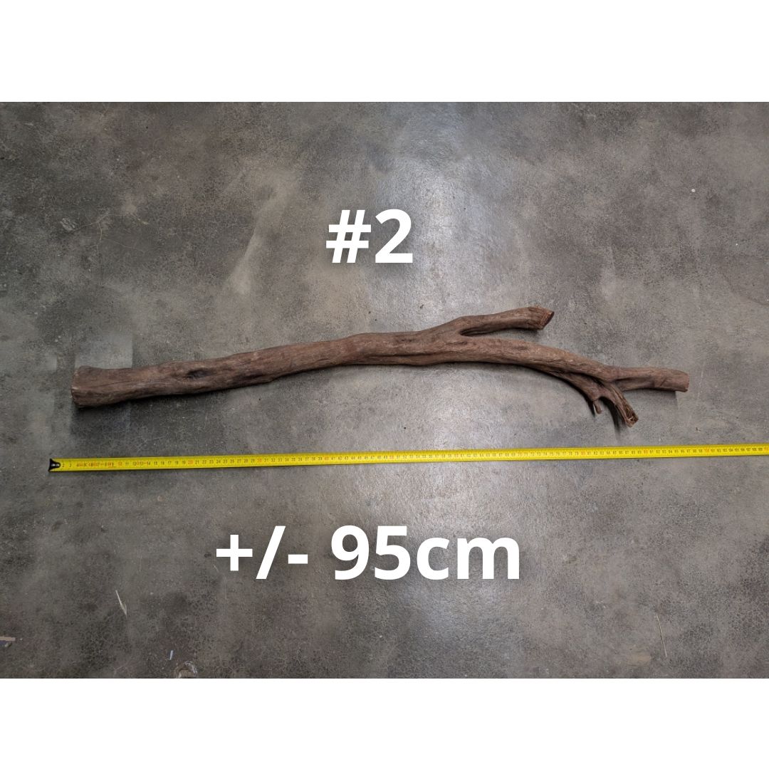 Racine Snake Shape Wood 80 à 100cm - Choix sur Photo Unique – Image 2