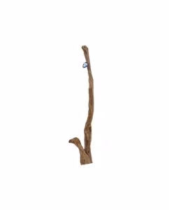 Racine Snake Shape Wood - Choix sur Photo Unique