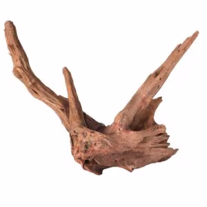 Racine Red Driftwood - Choix sur photo