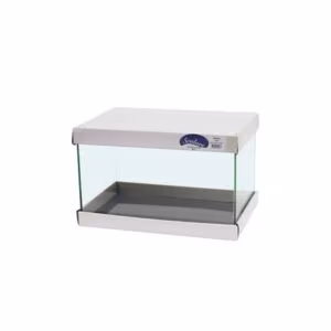 Aquarium rectangulaire en verre clair 25L de la marque française Scalare, 40x25x25cm, avec joints transparents fins et tapis de protection inclus. Idéal pour crevettes.